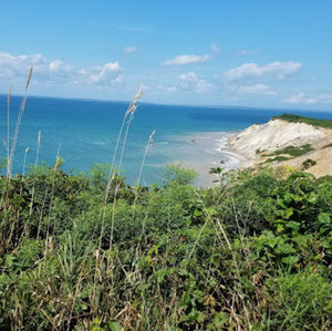 Meet your Posher, Tavis